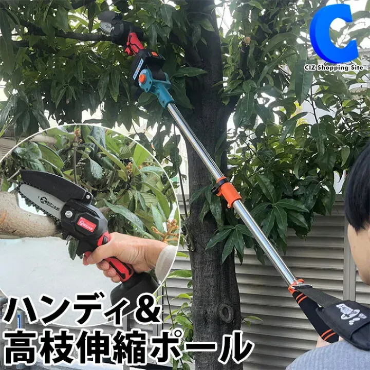 あなたの庭木を美しく保つ、プロの技