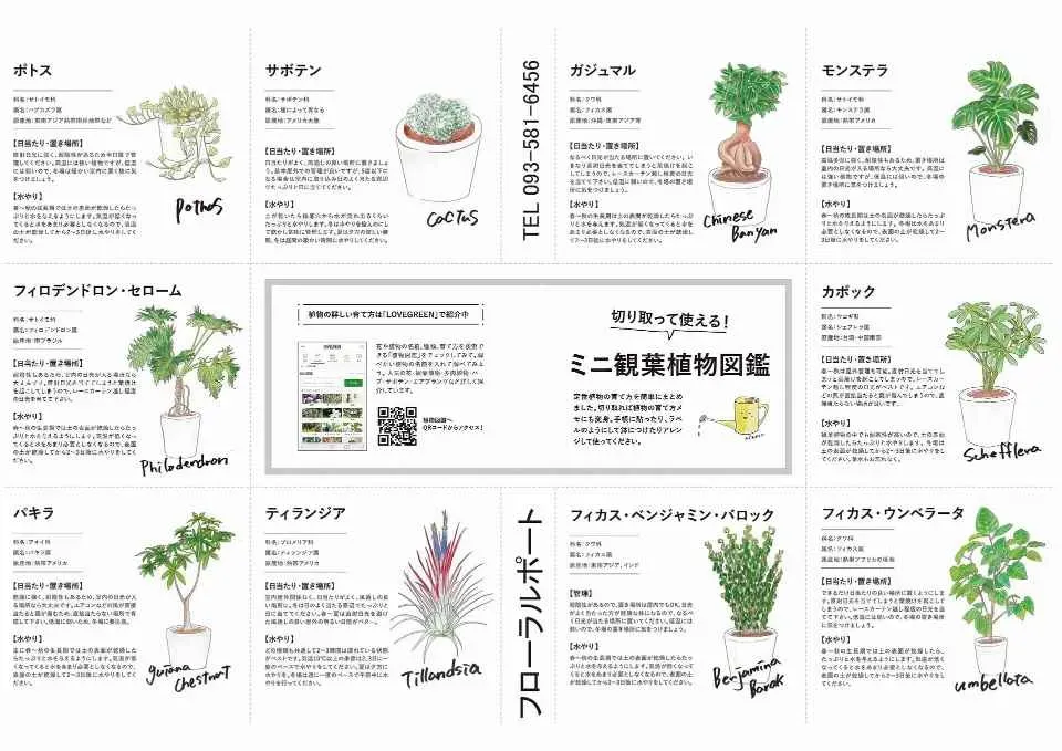 いつ、何を記録する？庭園植物のメンテナンス日誌の始め方