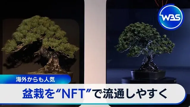 なぜ？海外で「BONSAI」が愛される理由