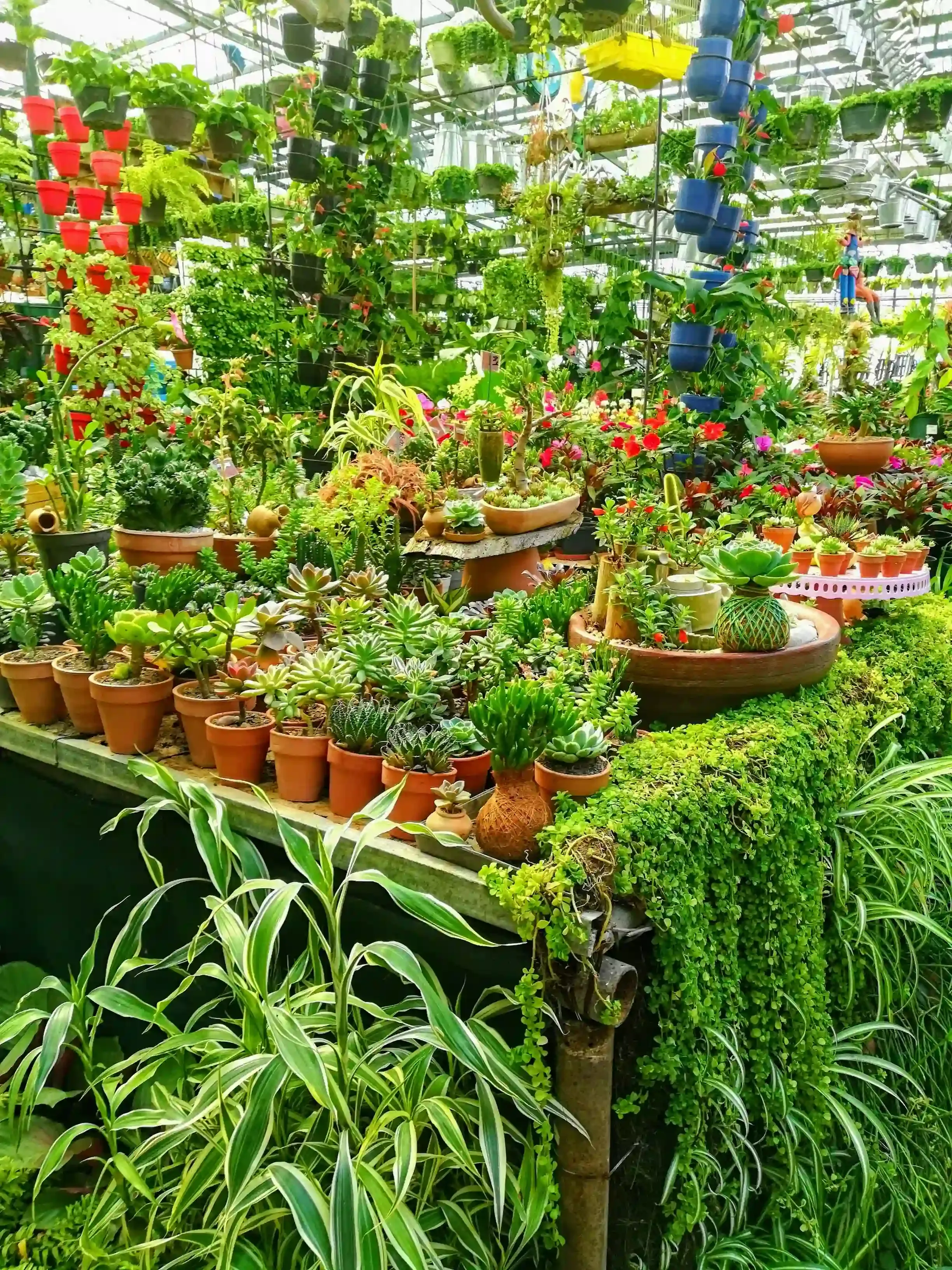 プロに依頼する場合の庭園植物のメンテナンス費用評価