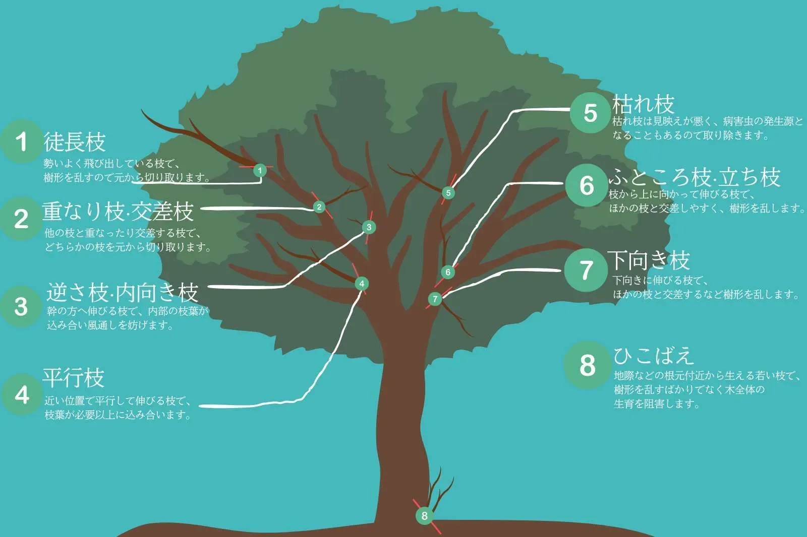 プロに頼むならここを見ろ！失敗しない業者選び