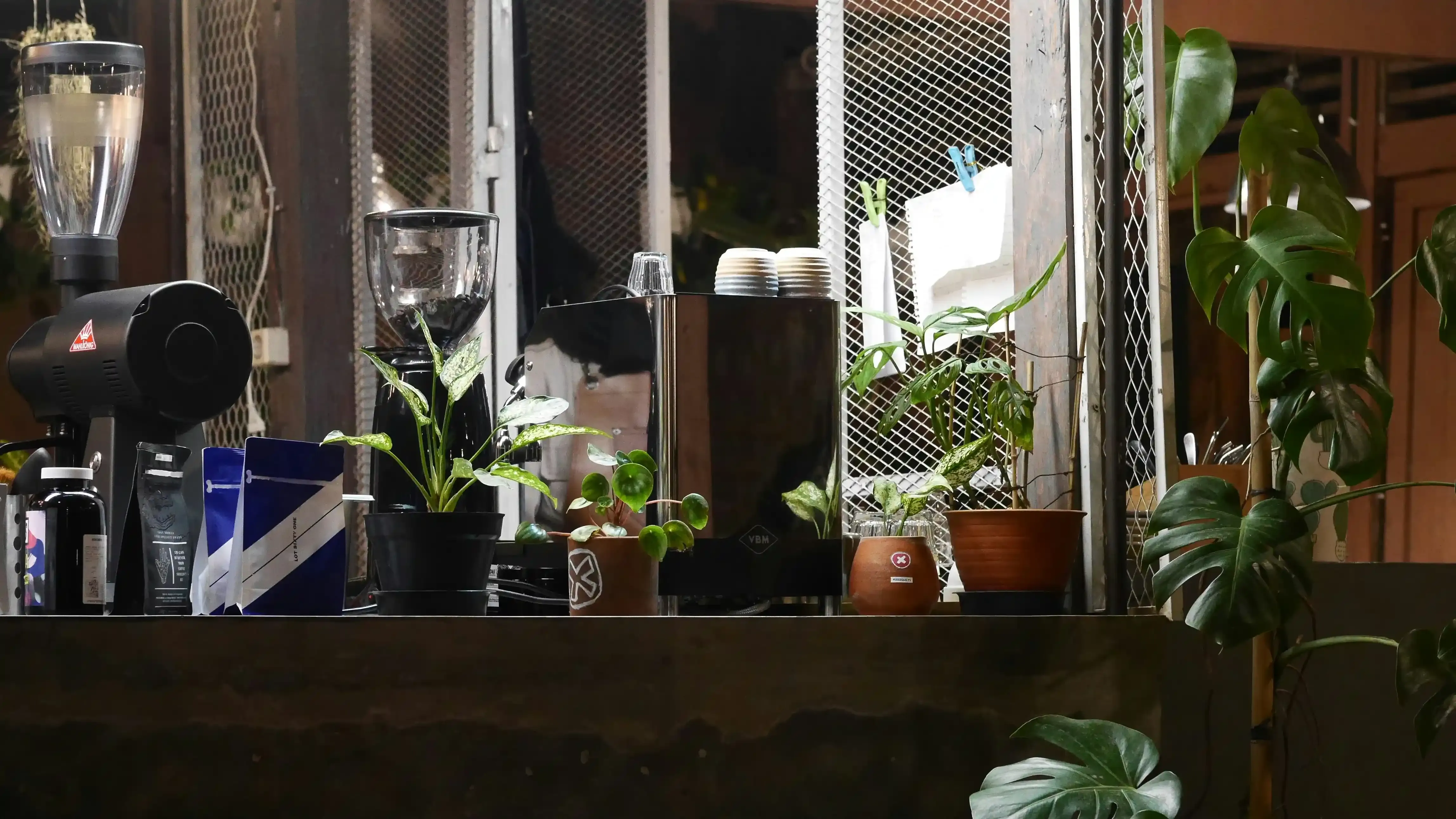 プロに頼むべき？庭園植物管理の専門家活用術