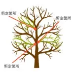 プロフェッショナルネットワークを賢く活用するコツ