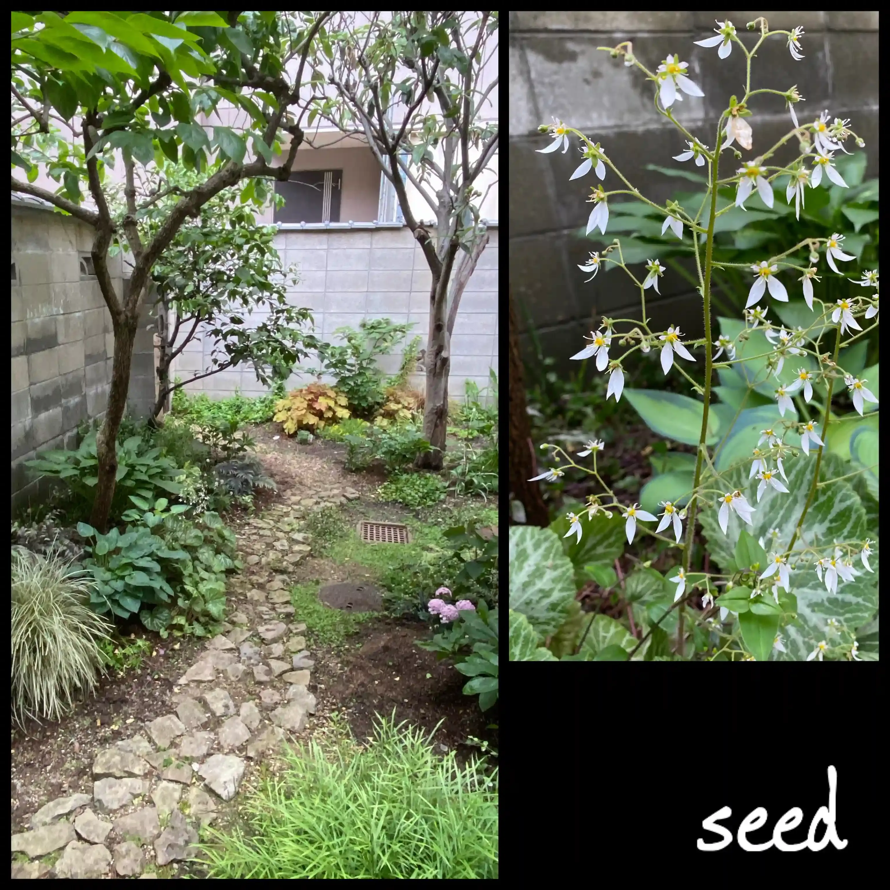 メンテナンス日誌で植物ともっと仲良くなるコツ