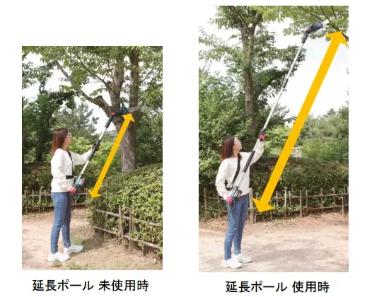 万が一に備える：緊急時対応と樹木剪定のプロフェッショナル安全対策の総まとめ