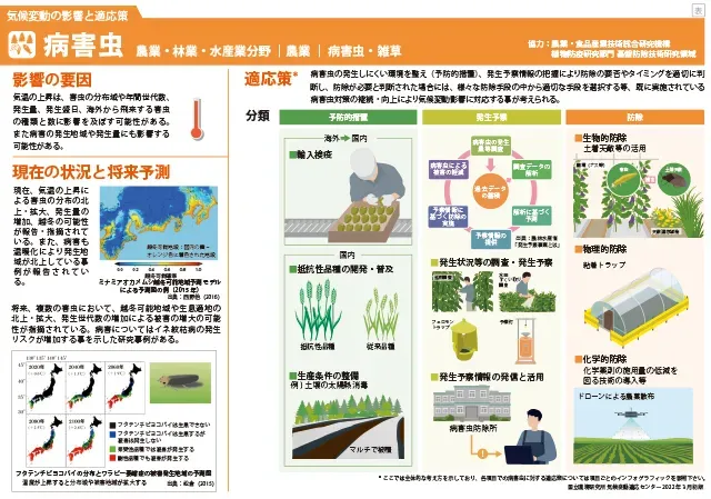 効果的な樹木病害虫の経済対策とは？