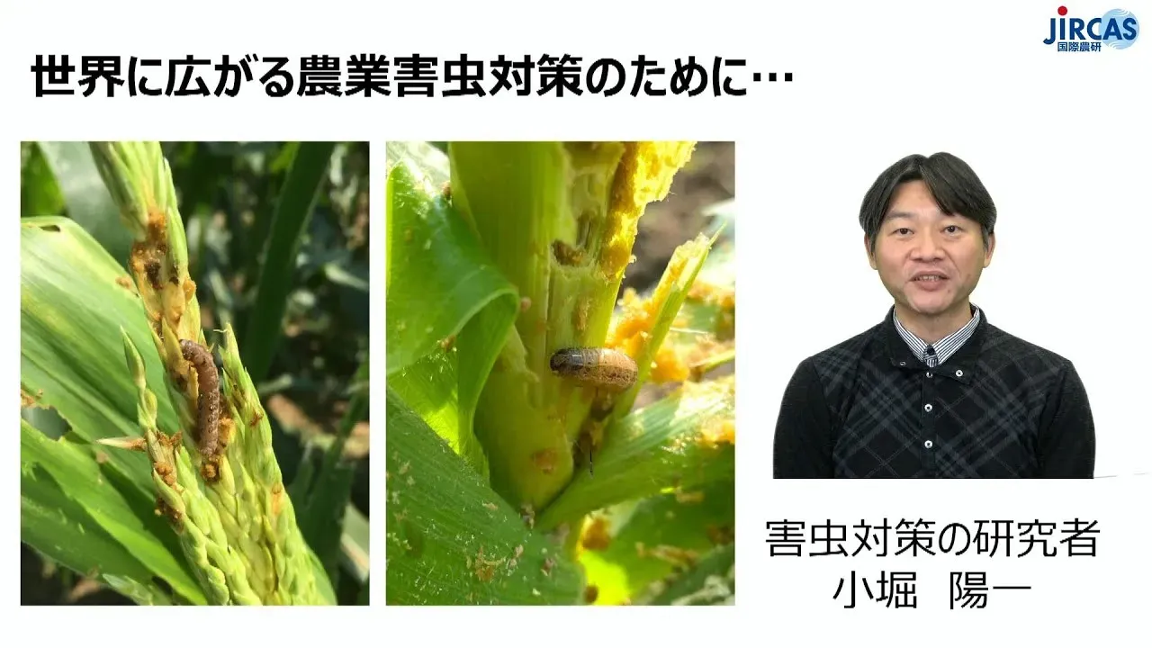 国際認定対策を進める上での課題と、乗り越えるためのヒント