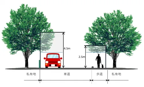 地域によって庭木医療が違う理由とは？
