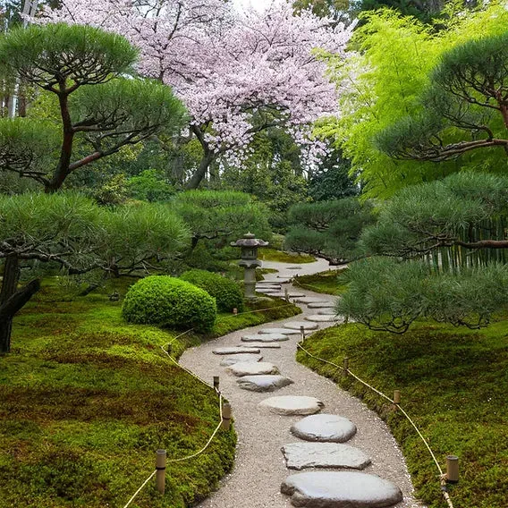 地域に合った庭木工芸を見つけるポイント