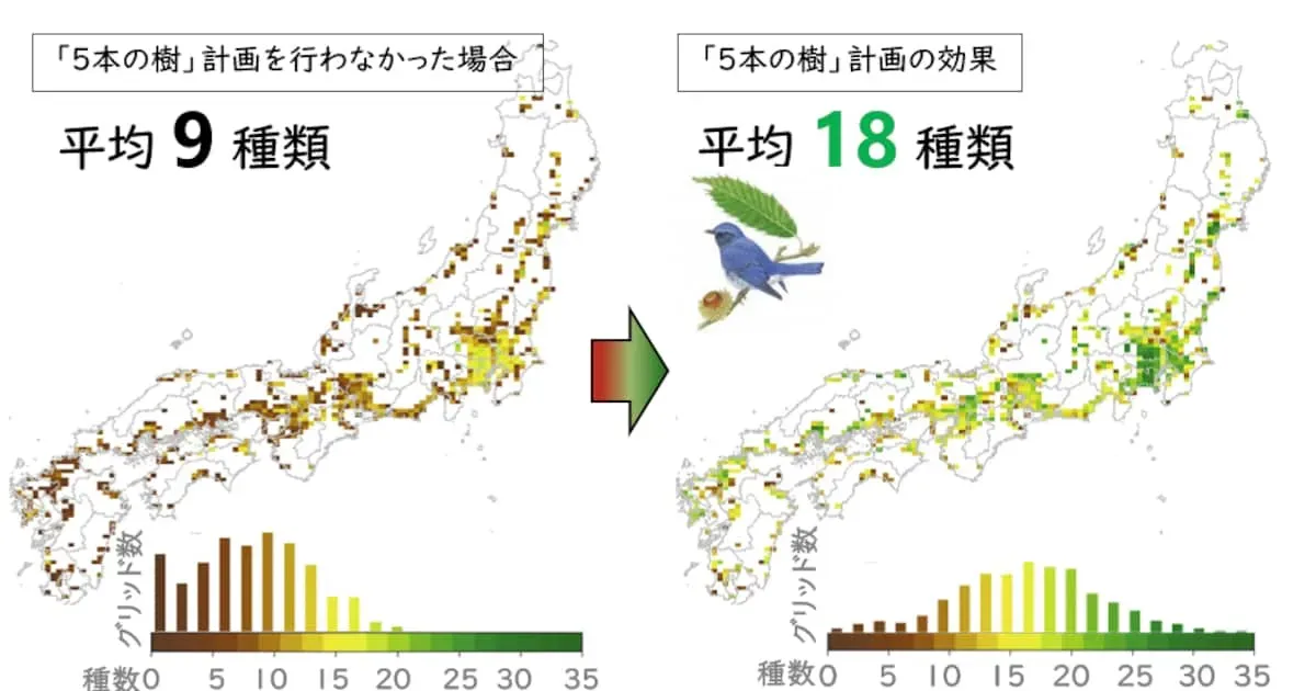 地域別の庭木国際ネットワークの具体的な活動事例