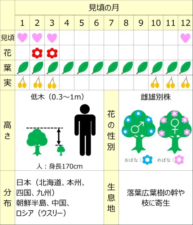 地域特性を活かした庭づくり：長期的なメリットと注意点