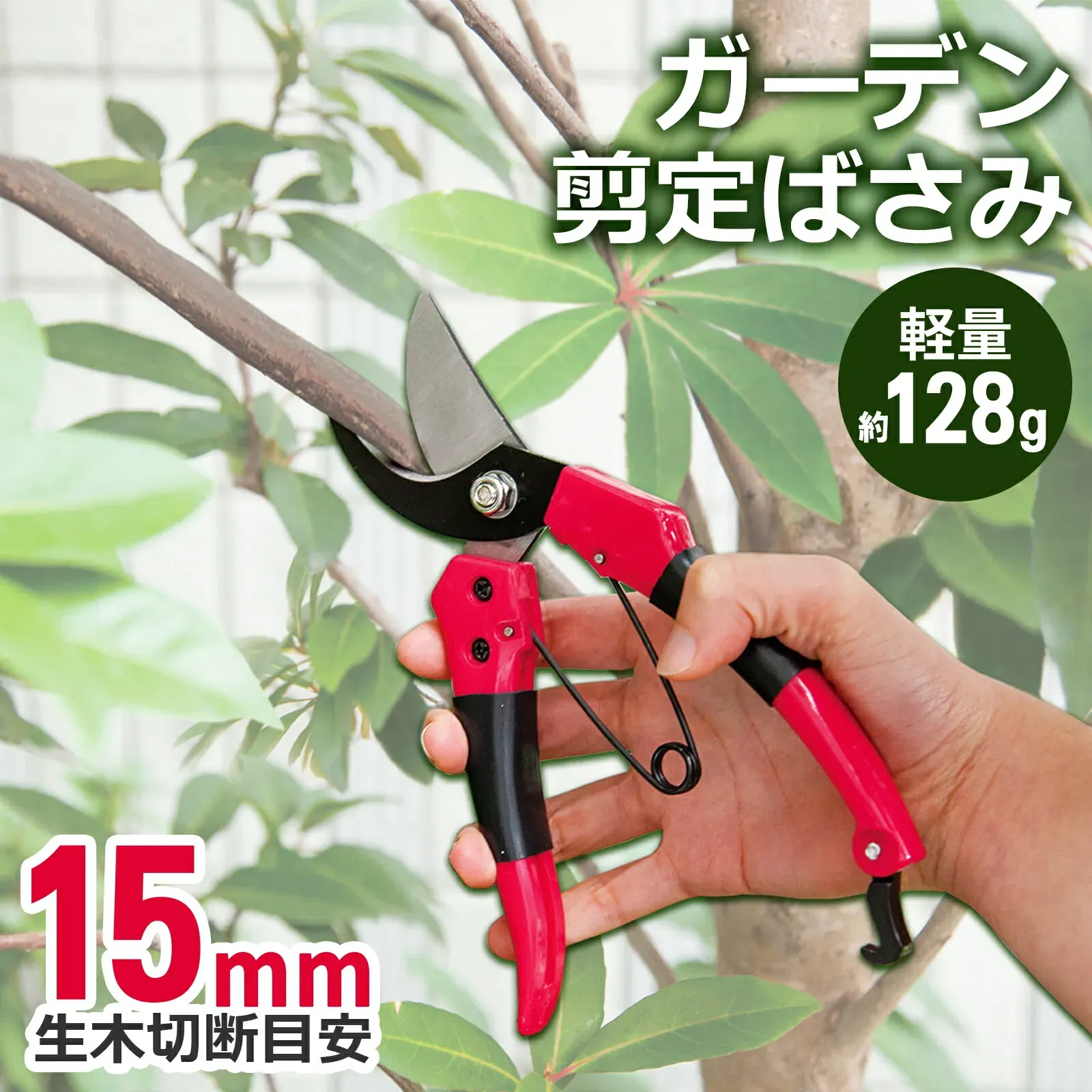 大切な樹木剪定のプロフェッショナルツールを長持ちさせる手入れ