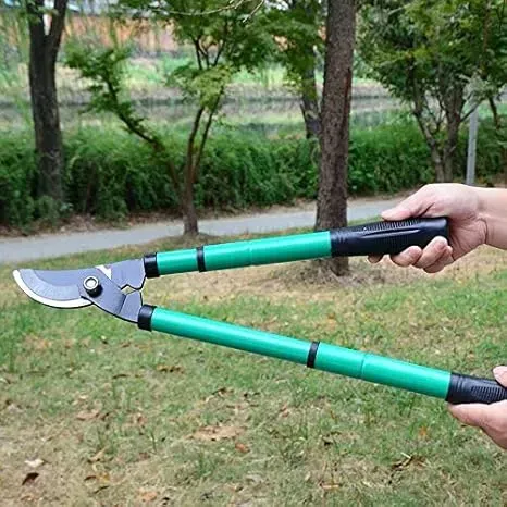 失敗しない庭園植物のメンテナンスツール選び方と長持ちさせる手入れ
