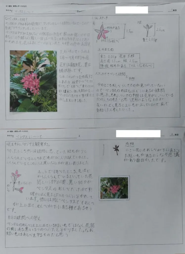 失敗しない庭園植物のメンテナンスレポート作成のステップ