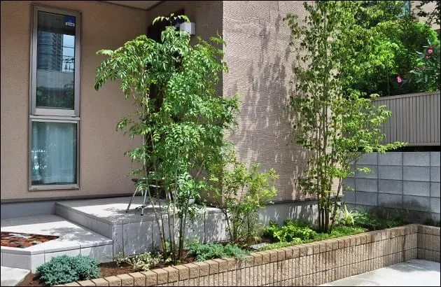 失敗しない！庭園植物のレイアウト計画と注意点
