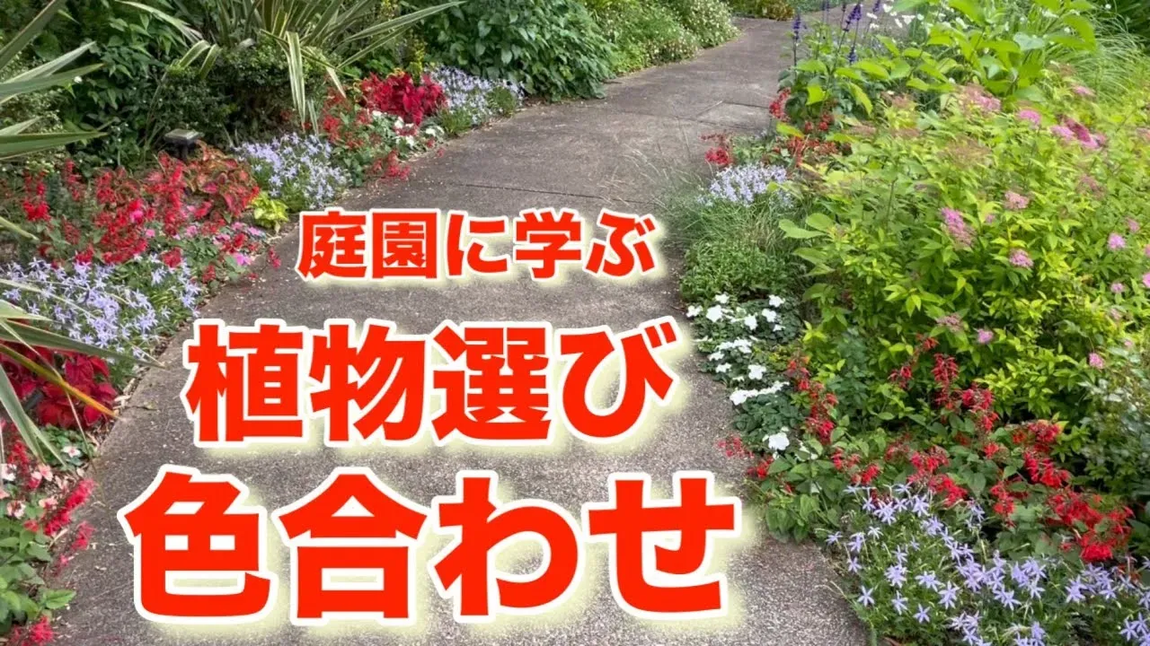 季節で変わる！庭園植物の色合わせの楽しみ方