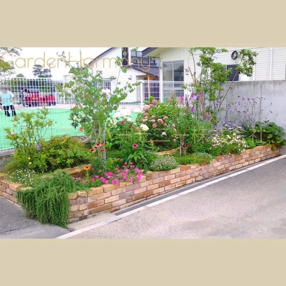 庭の植物が元気ない？庭園植物のメンテナンス教育で変わる現実