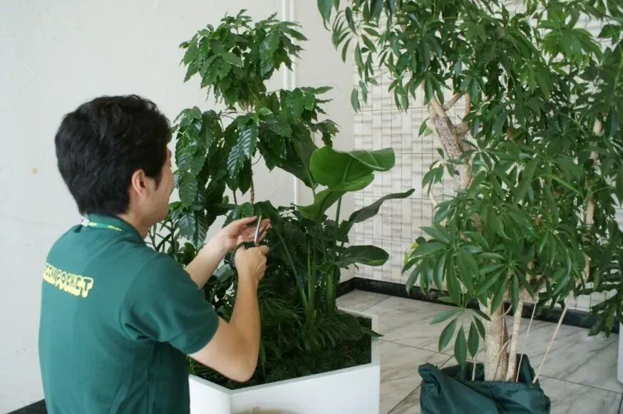 庭園植物のメンテナンス、なぜやるの？