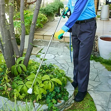 庭園植物のメンテナンス、自分でやる？それともプロに任せる？