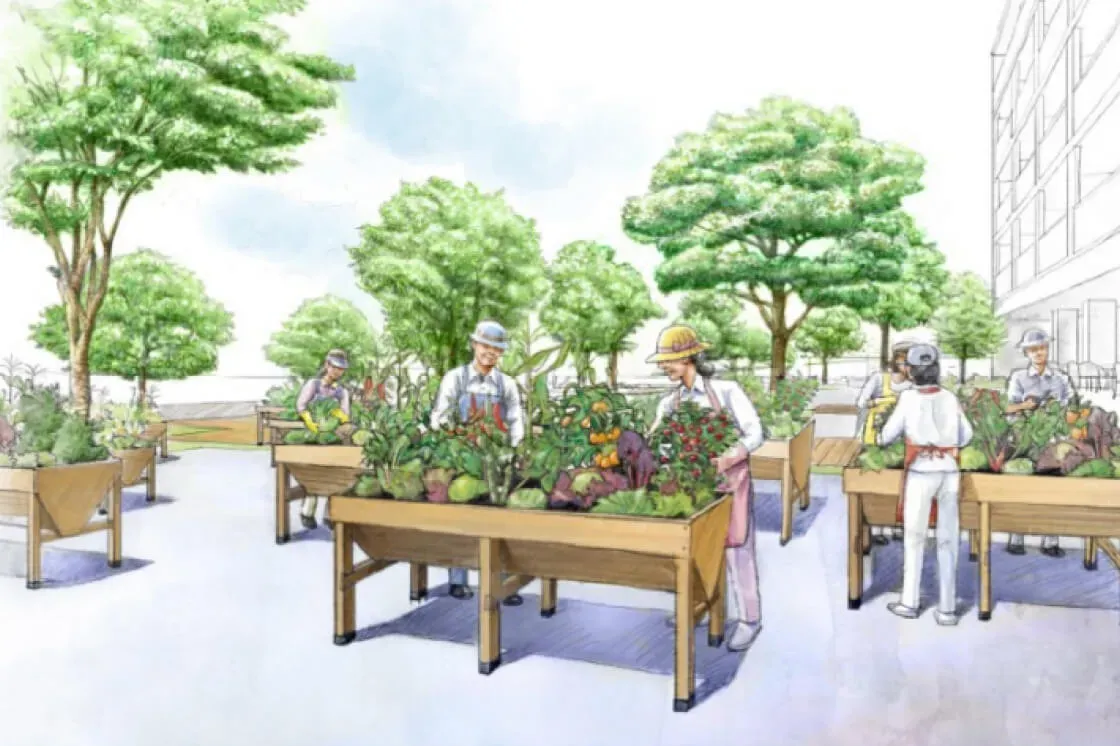 庭園植物のメンテナンスコミュニティに参加する前に