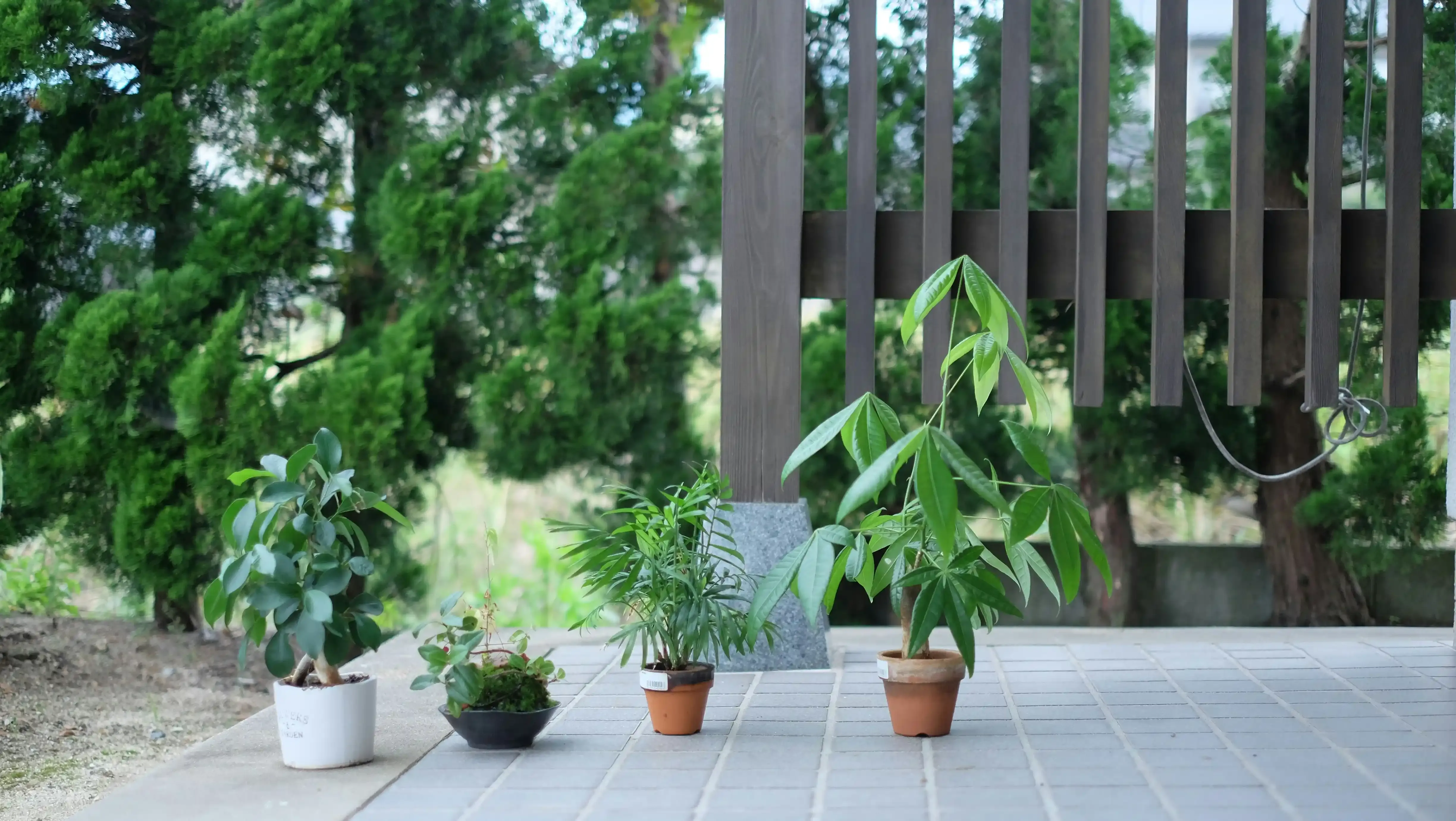 庭園植物のメンテナンス評価を活かす：失敗しない庭づくりの秘訣
