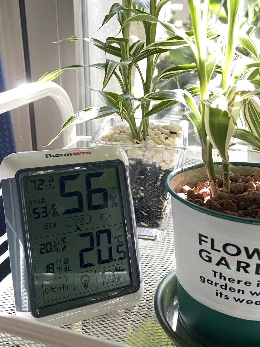 庭園植物の温度調整、なぜ重要？植物が快適に過ごす秘訣