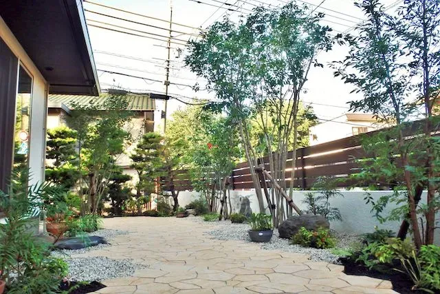 庭園植物の配置方法：まず押さえたい基本の考え方