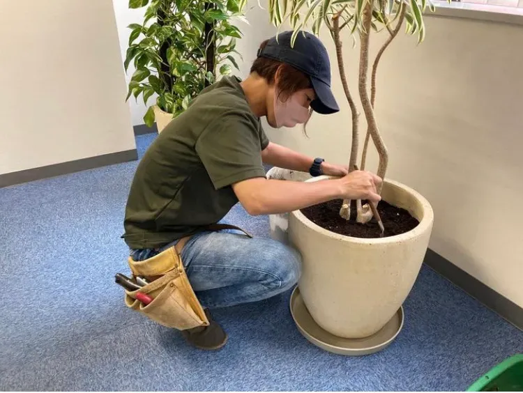 庭園植物を枯らさないための第一歩
