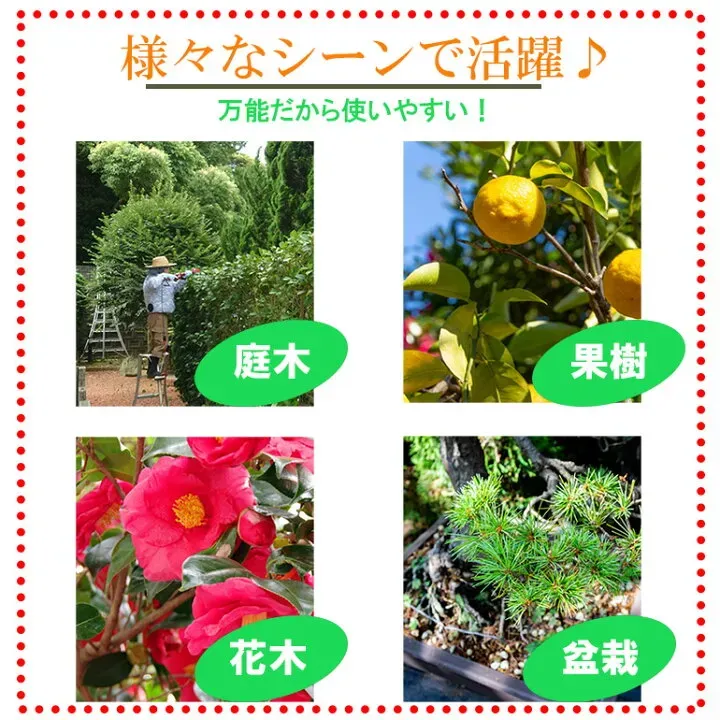 意外と知らない？樹木剪定のプロフェッショナル市場の料金相場