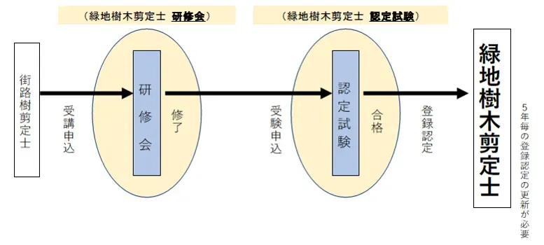 樹木剪定のプロフェッショナル交流、なぜ今必要か？