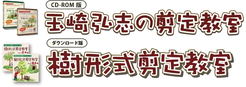 樹木剪定のプロフェッショナル教育機関を選ぶポイントと将来への展望