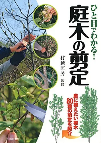 樹木剪定のプロフェッショナル文化対策とは？