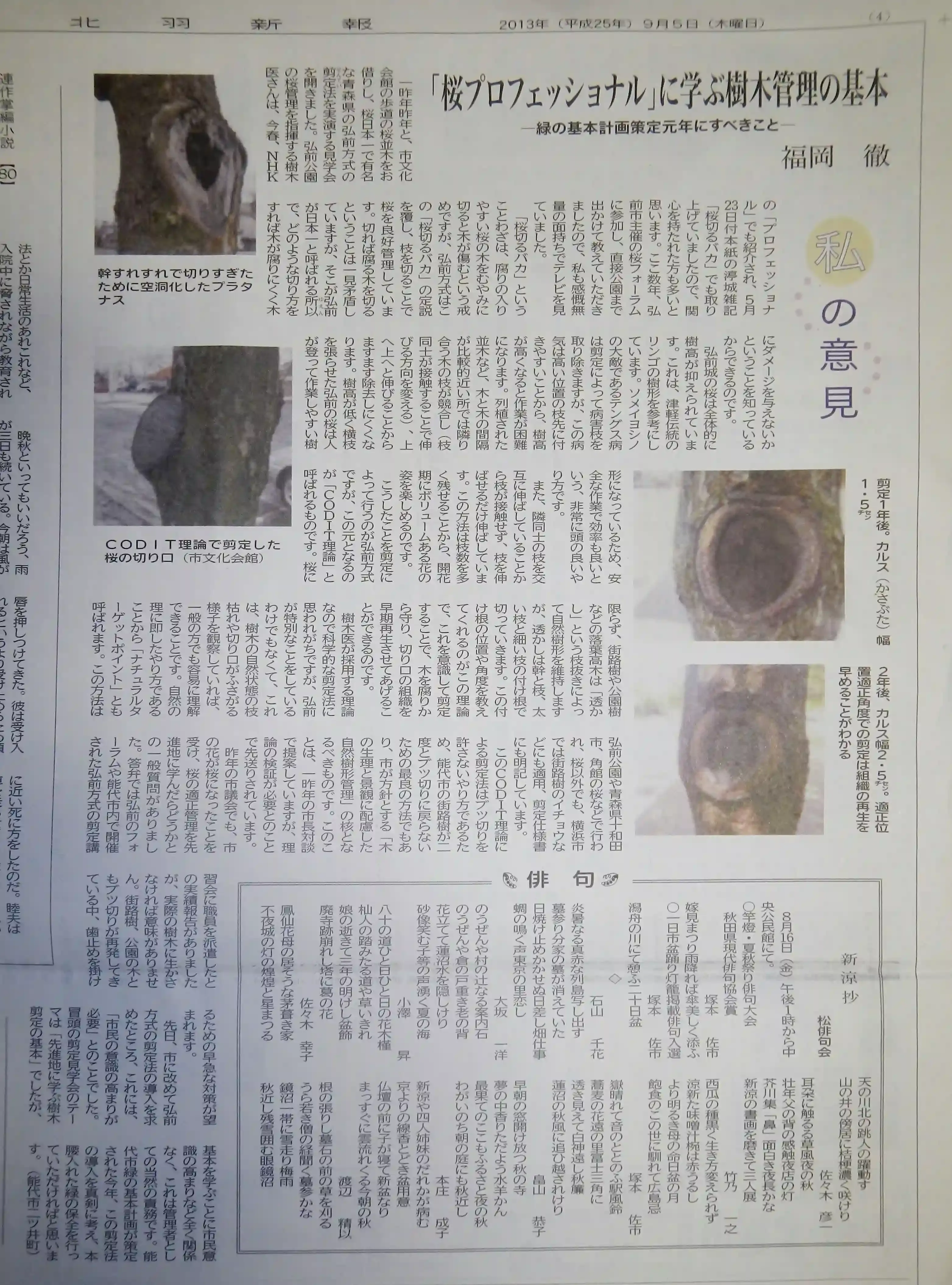 樹木剪定のプロフェッショナル文化対策：専門家としての倫理と技術