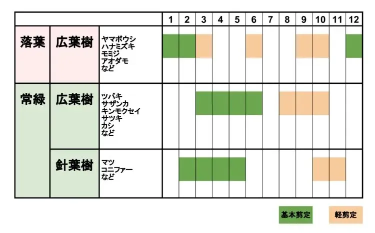 樹木剪定のプロフェッショナル時期が大切な理由