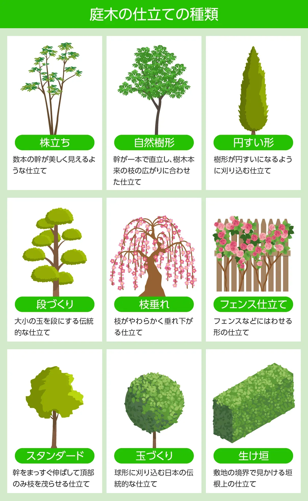 樹木剪定はなぜ必要？プロが語る剪定の目的