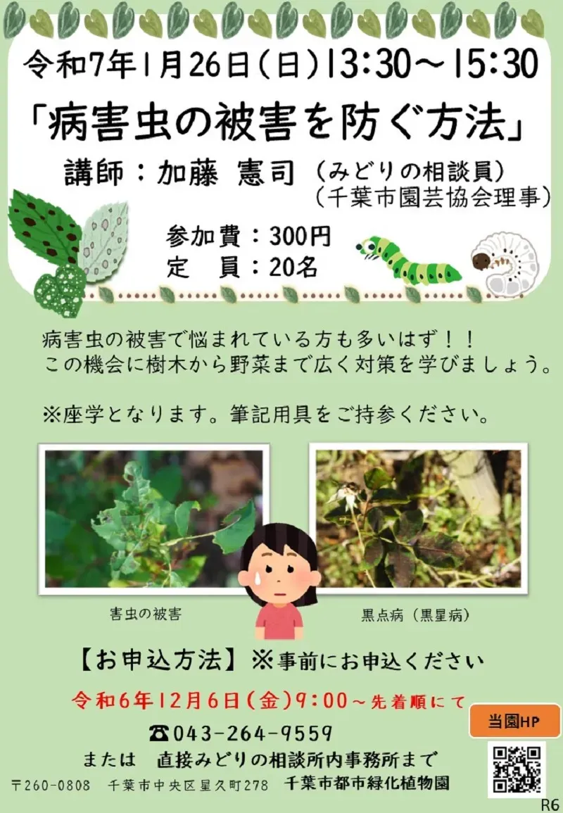 樹木病害虫、そもそも文化対策って何？