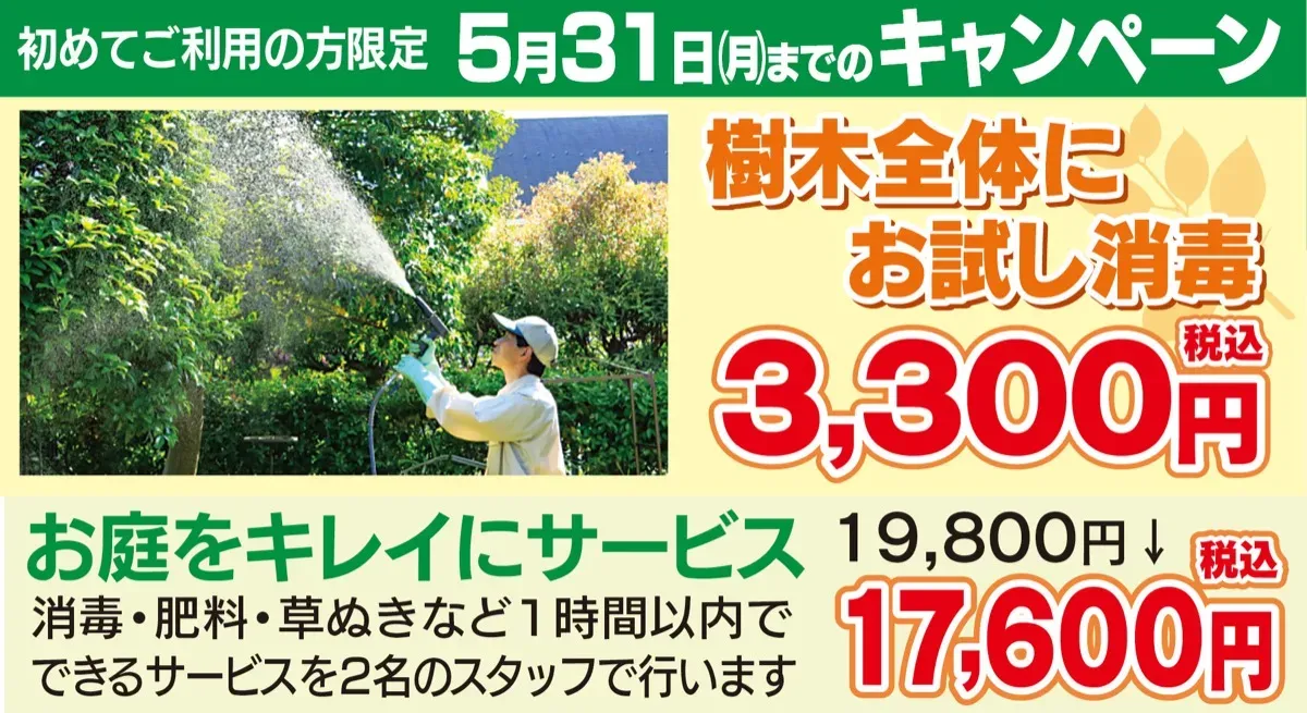 樹木病害虫のローカルフェア対策の具体的な方法