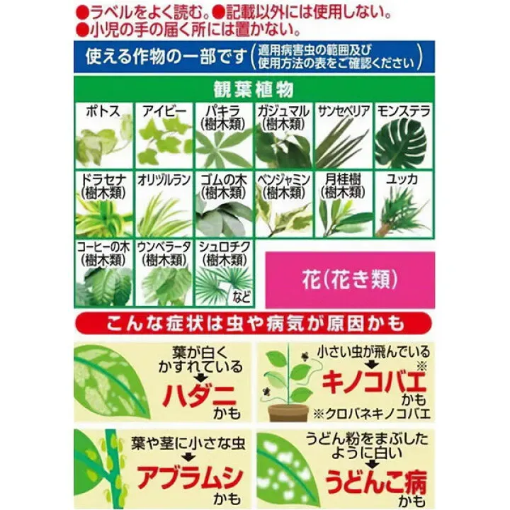 樹木病害虫の国際市場対策が重要な理由