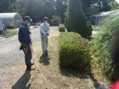樹木病害虫対策の未来と技術