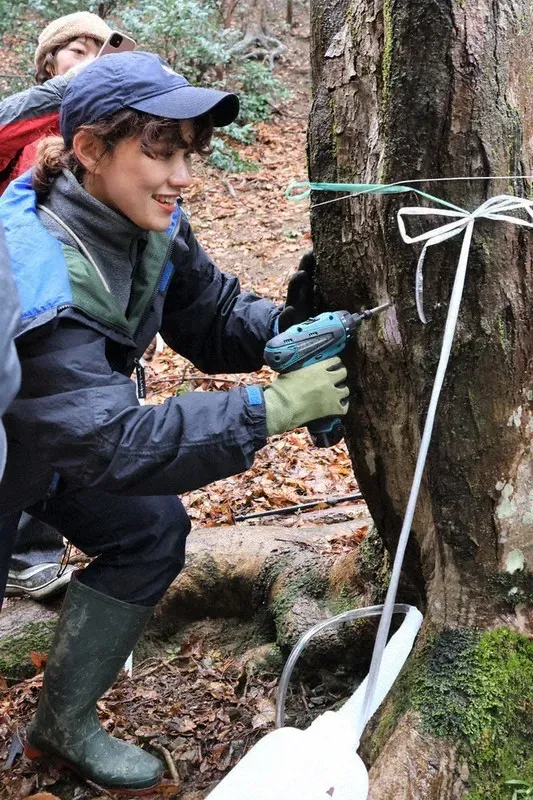 樹液採取ってそもそも何？その魅力と現実