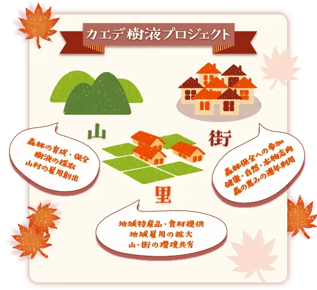 樹液採取の地域分け、なぜ重要？
