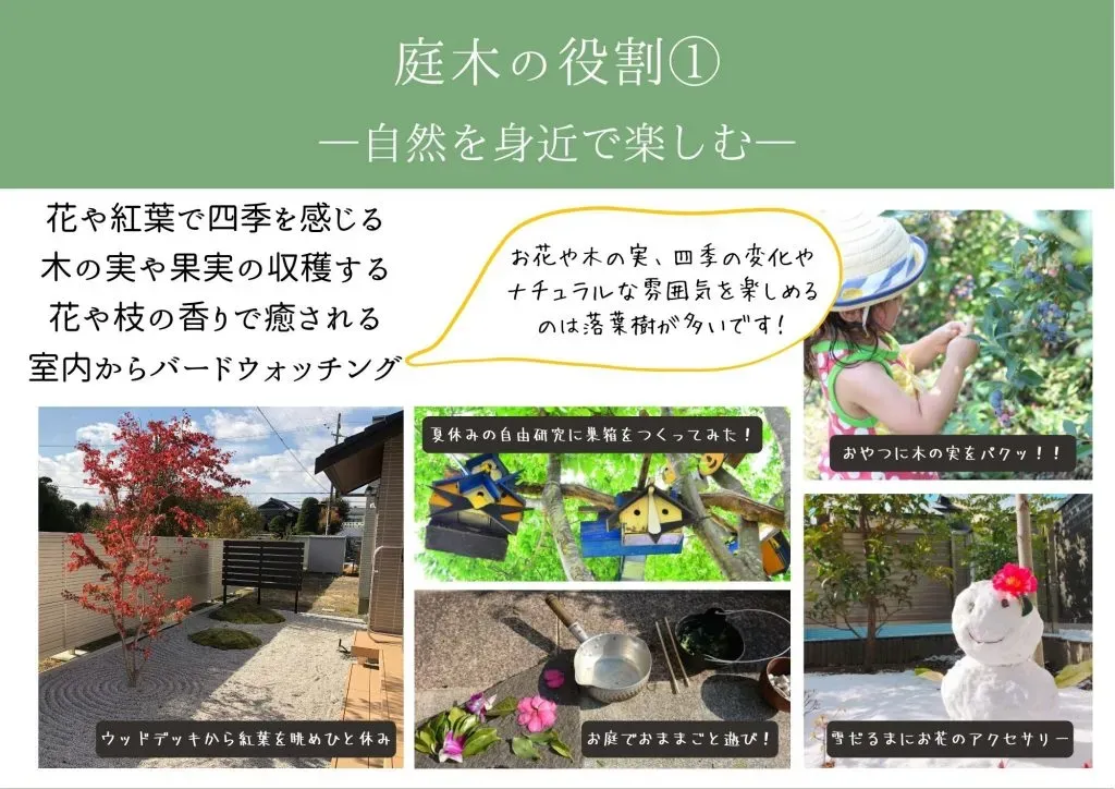 気候や土壌に強い木を見つける具体的な方法