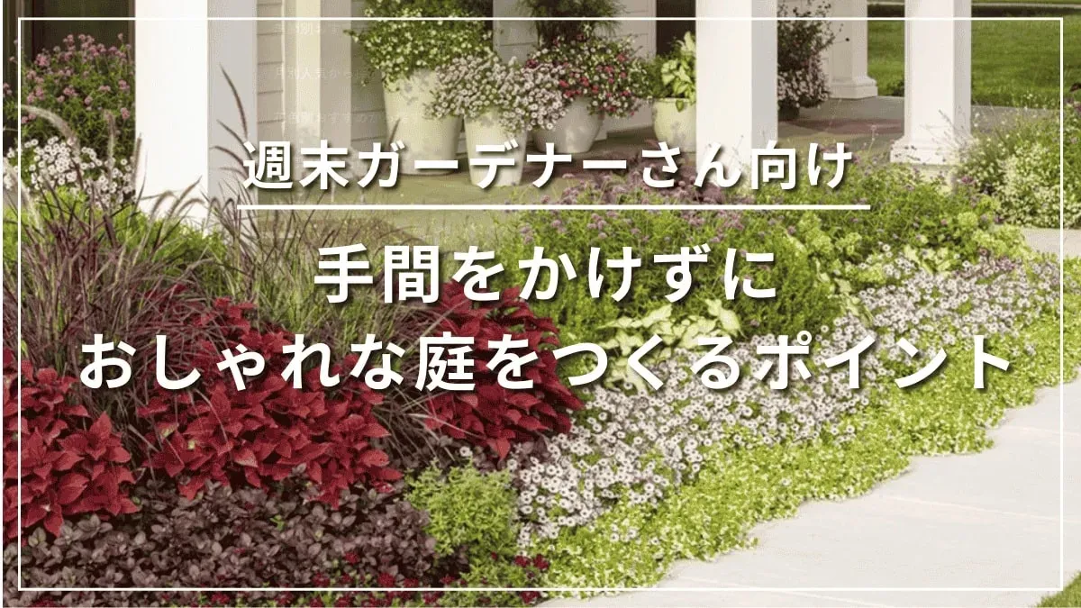 病害虫から庭園植物を守る予防策