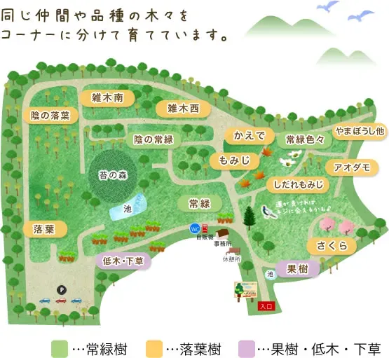 知っておきたい！ 地域別の人気庭木と最新トレンド