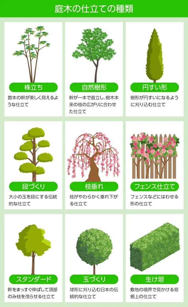 自分でできる？知っておくべき樹木剪定の基本とリスク