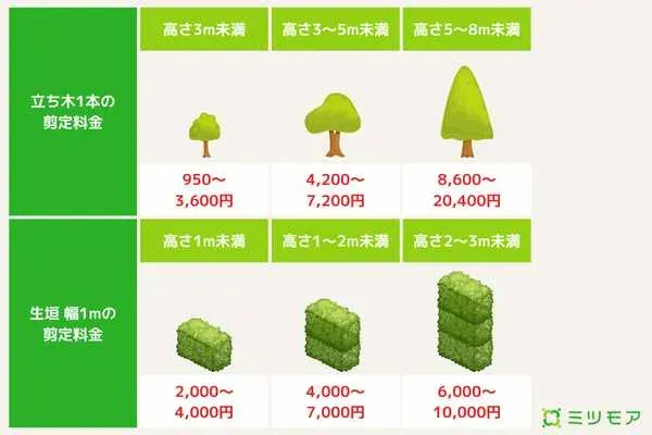 費用を決める要因とは？樹木剪定のプロの見積もりを読み解く