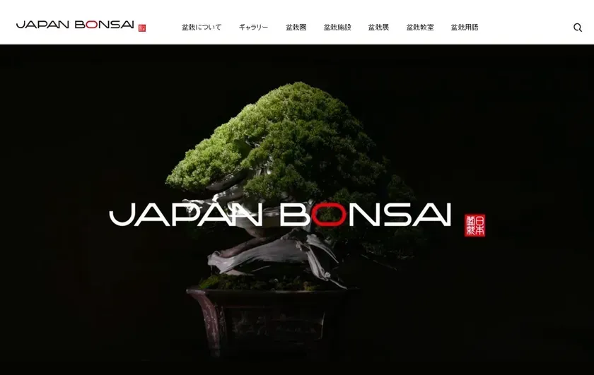 bonsaiの国際ネットワークを支える主要な組織と役割