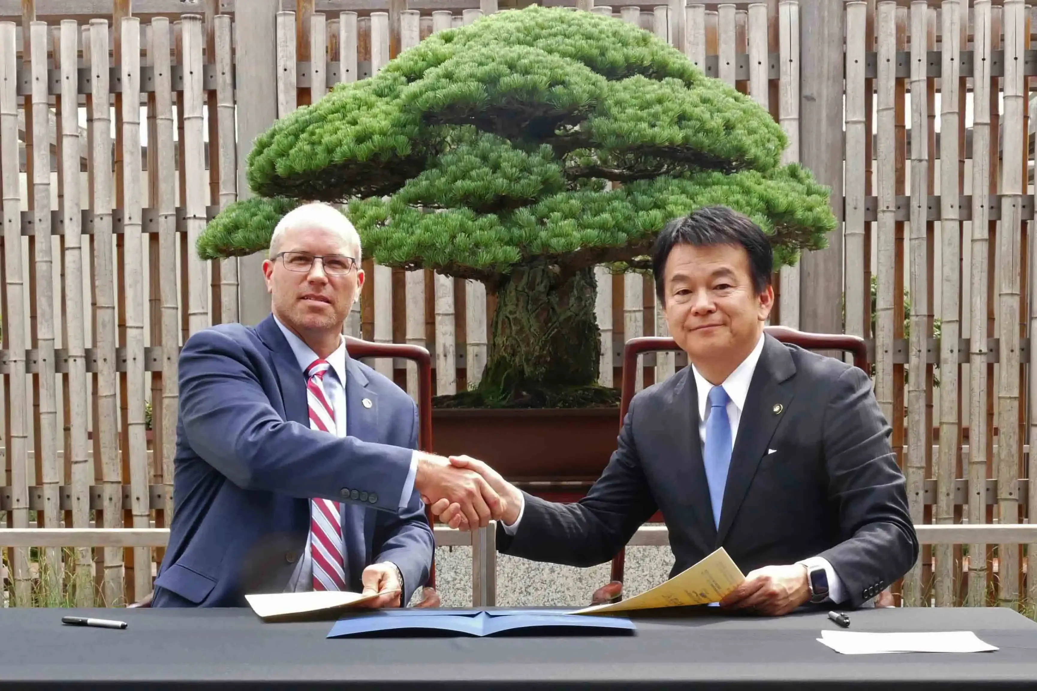 bonsaiの国際交流の現状と多様な形