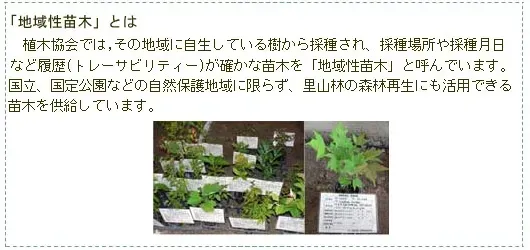 地域別の庭木国際認定：成功への必須ガイド