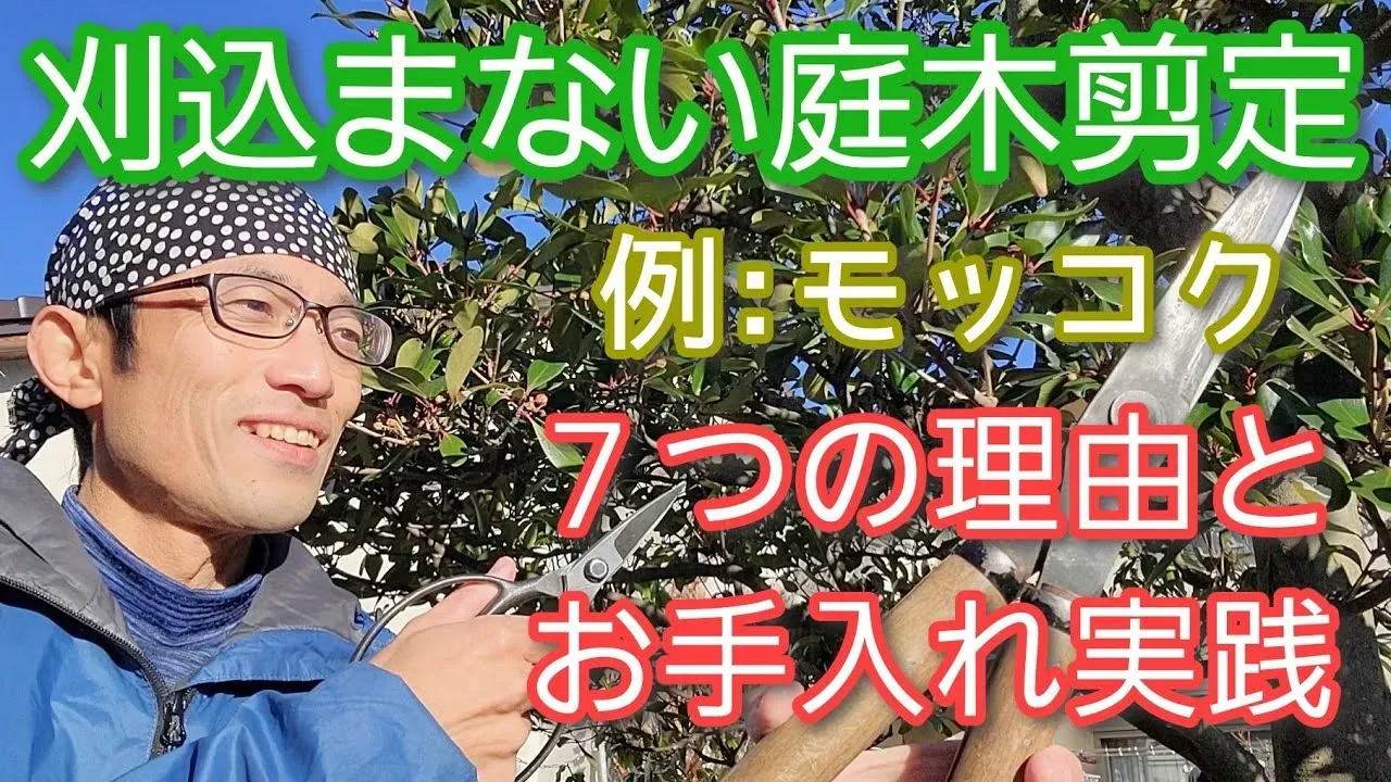 地域別の庭木教育メリット：あなたの庭が、季節ごとに美しく豊かに育つ確実な方法【完全版】